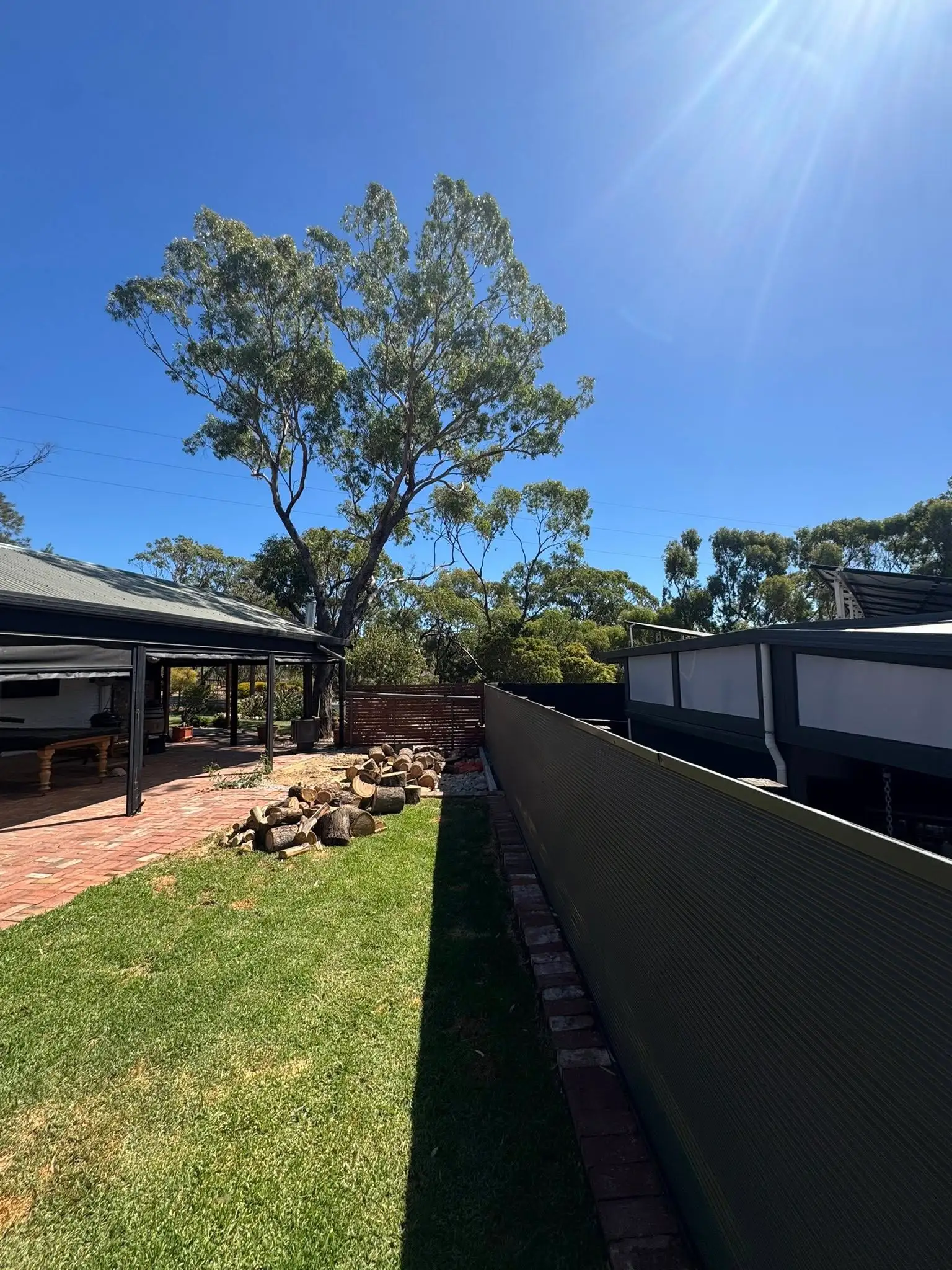 Recent arborist project completed on an Adelaide property